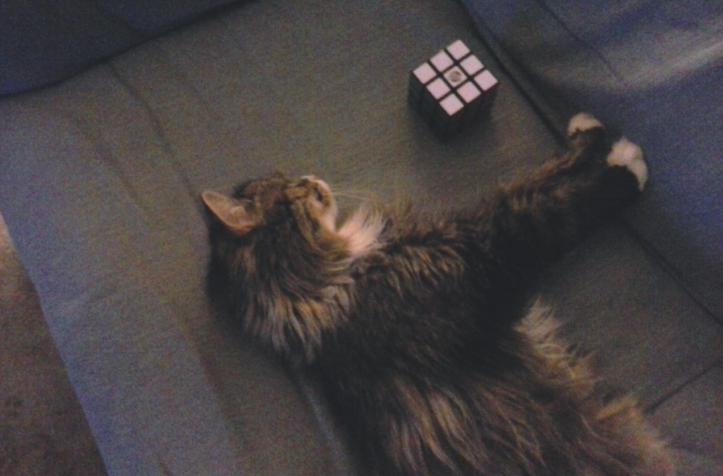 Tuffy with Rubik's Cube