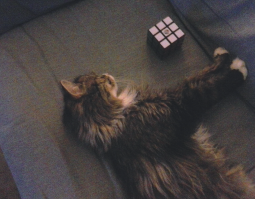 Tuffy with Rubik's Cube