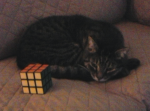Zippy with Cube