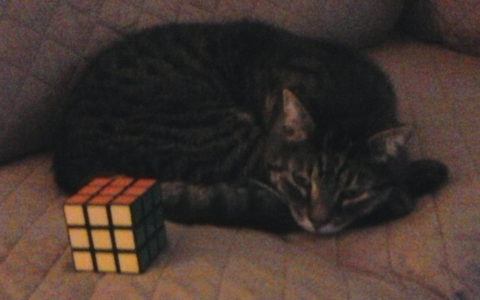 When Diabetes Management Improves Quality of Life Instead of Limiting It