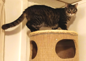 Zippy on top of the World