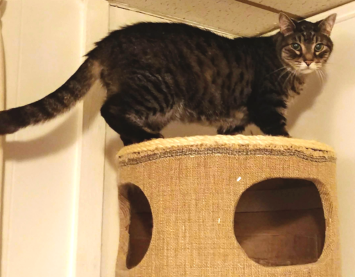 Zippy on top of the World